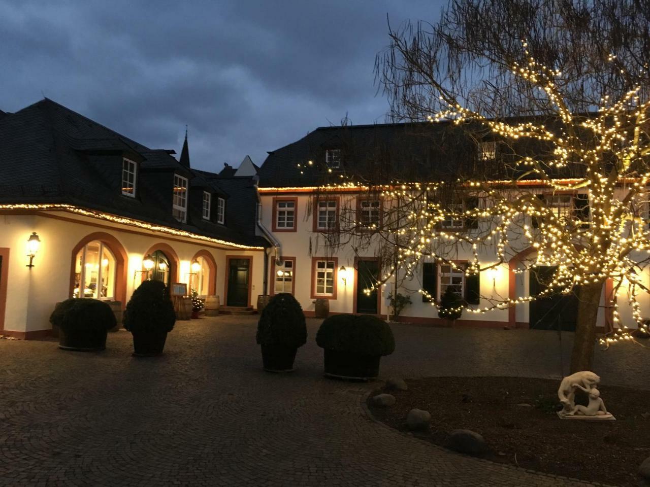 Residenz Weingut Schloss Reinhartshausen Bed & Breakfast Eltville am Rhein ภายนอก รูปภาพ